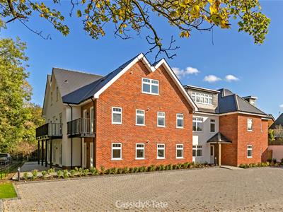 Picture 19